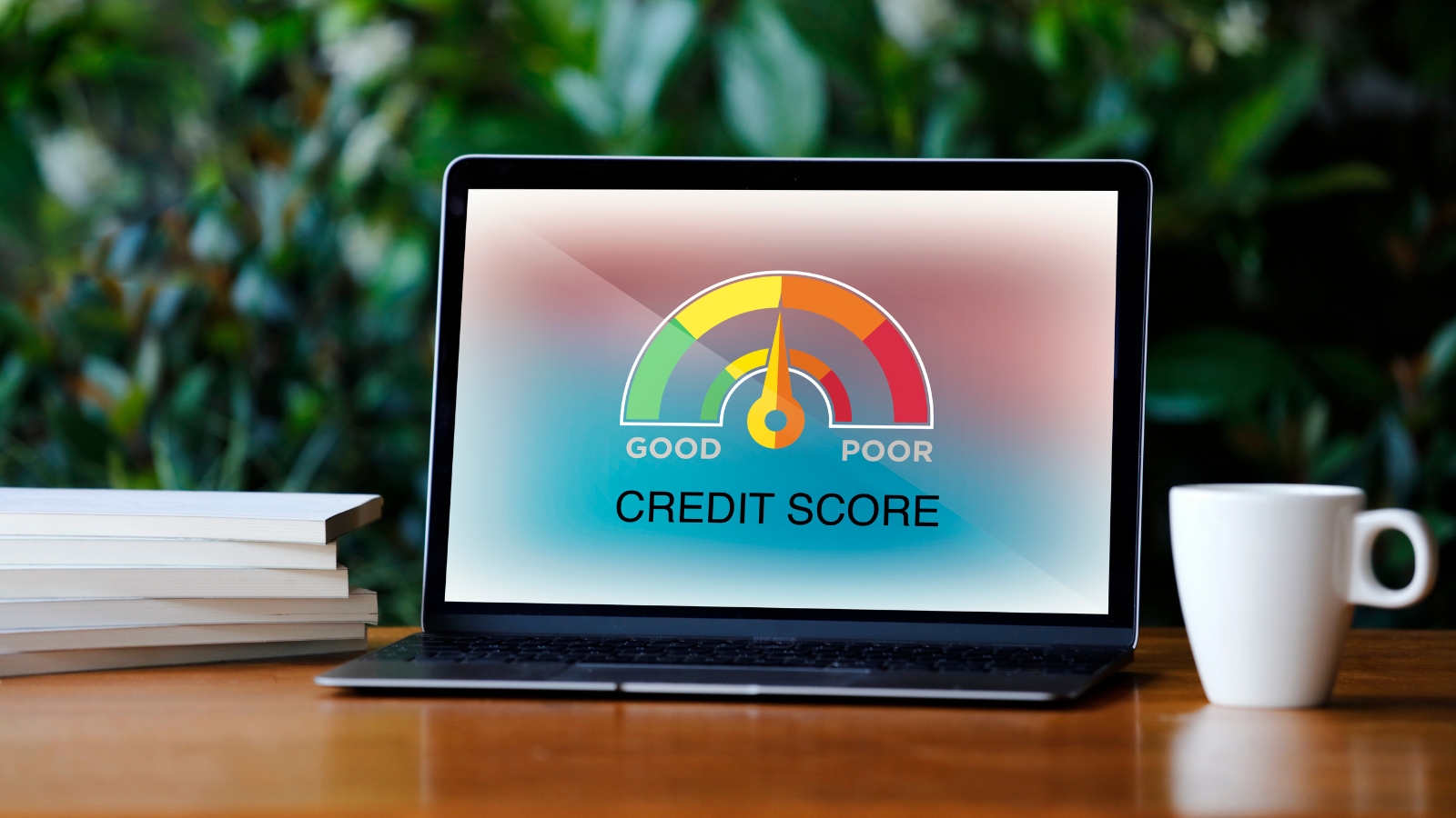 Small business owner reviewing business credit report on laptop